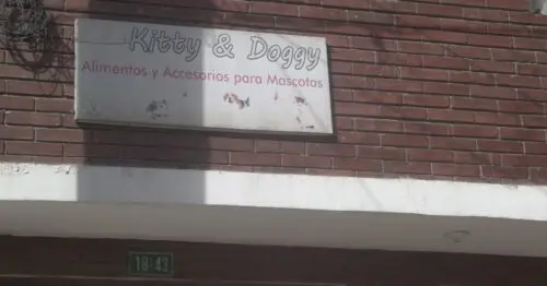 KITTY & DOGGY KITTY & DOGGY